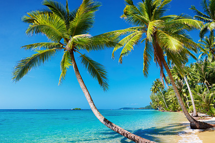 Tropical beach thailand containing sky, sea, and tree, a Nature Photo by Shop Name