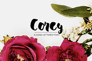 COREY Hand Lettered Font, a Handwritten Font by Rhonna Designs (Thumbnail 1 of 3)
