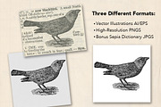 Dictionary Engravings Birds Vintage, an Illustration by Piddix Archives (Thumbnail 5 of 5)
