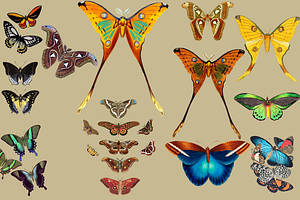 12 Vintage Butterflies