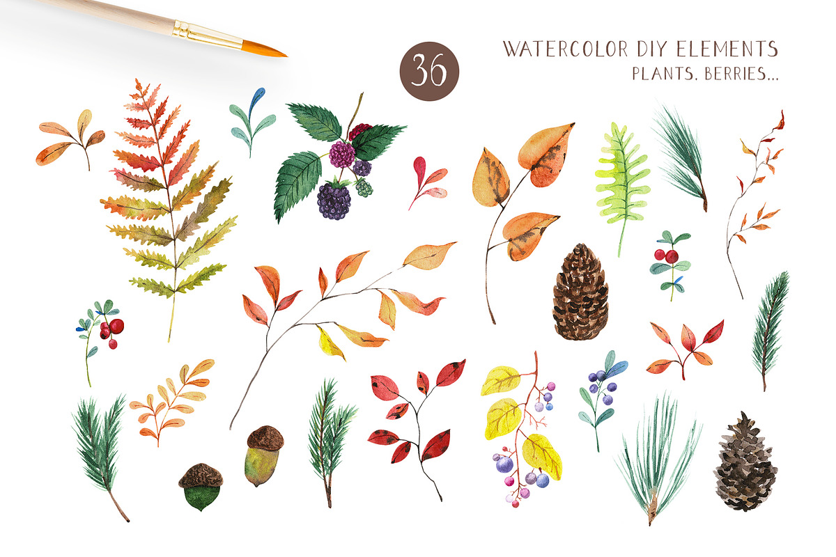 Watercolor autumn forest, a Seasonal Illustration by LeriaArt watercolor (Photo 3 of 9)