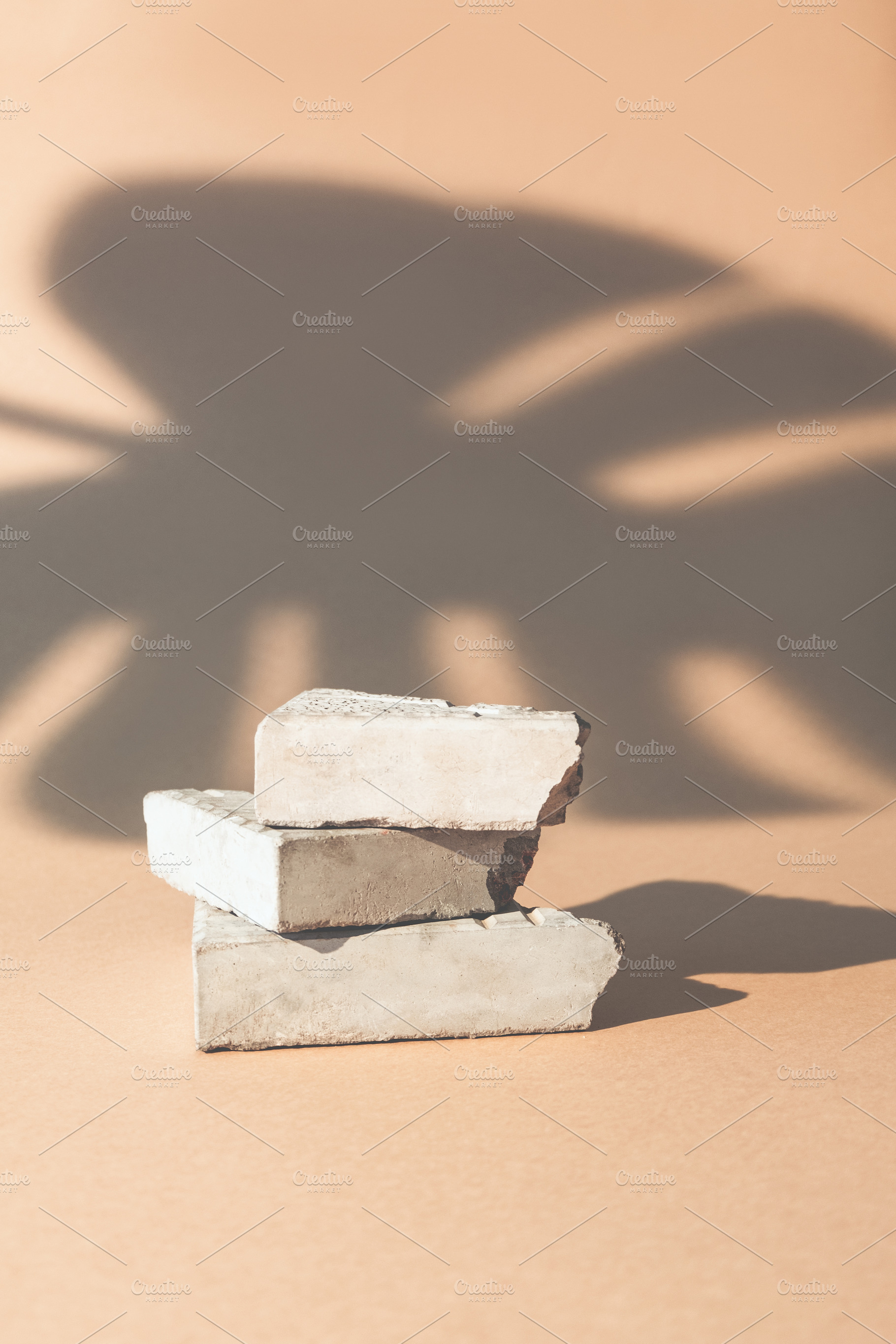 stone podium product display rock palm leaf shadow, a Nature Photo by Photo Drive Studio