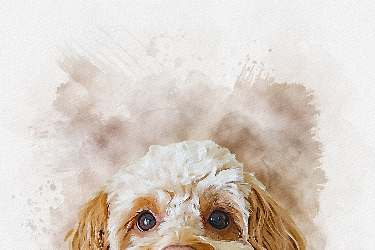 Custom Watercolor Pet Template, an Action Add-On by MRI STUDIO (Photo 18 of 23)