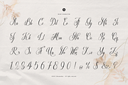Defalliya | Wedding Calligraphy, a Script Font by Denustudios (Thumbnail 10 of 12)