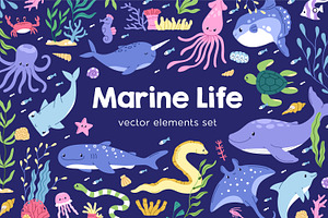 Marine life. Sea set, banner, cards, an Animal Illustration by Good Studio