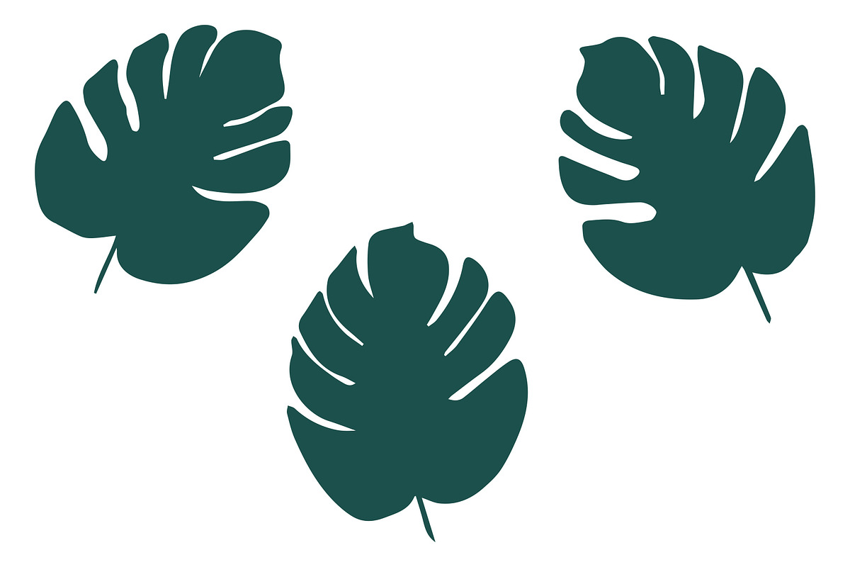 Vector Plant & Leaf Graphics, a Background Graphic by Dorey Kronick Art&Design (Photo 16 of 19)