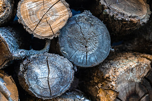 Stacked Firewood Logs, an Industrial Photo by Ales Munt