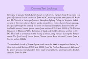 Brimful Font, a Serif Font by Photoshop Action (Thumbnail 5 of 5)