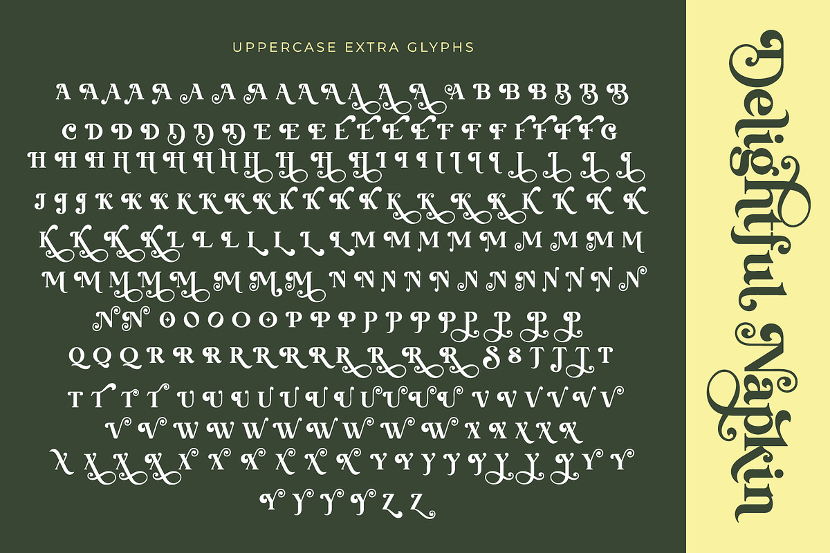 Delightful Napkin Modern Serif Font, a Serif Font by Airotype (Photo 12 of 15)