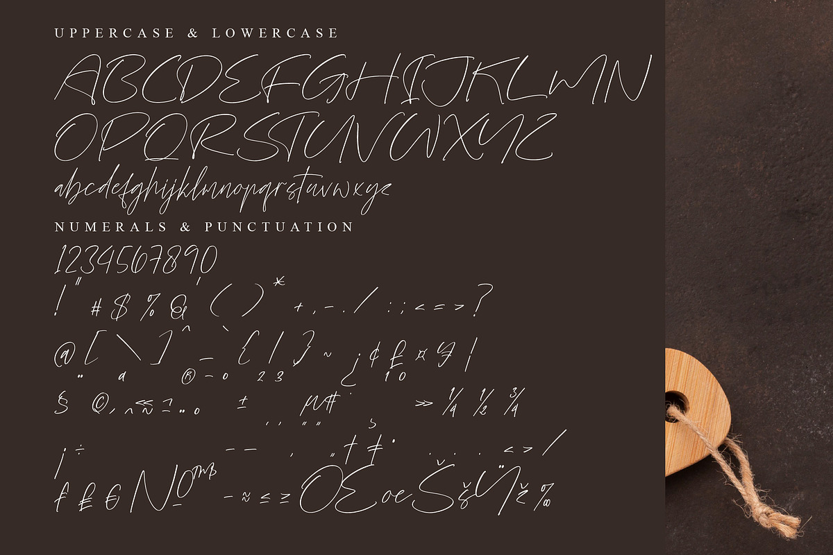 Fashiones, a Script Font by operatype.co (Photo 14 of 15)