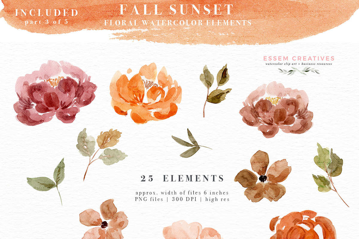 Orange Pink Fall Watercolor Flowers, an Illustration by Essem Creatives (Photo 9 of 12)