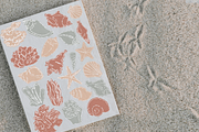 Seashell vector line art, an Illustration by Zeukaa (Thumbnail 4 of 4)