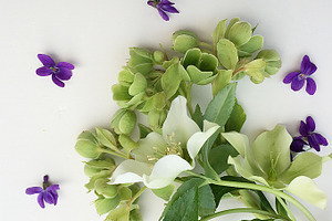 Styled stock photo  spring flowers featuring styled stock, photograph, and