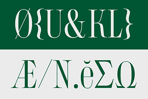 50% OFF KT Bureau - Display Serif