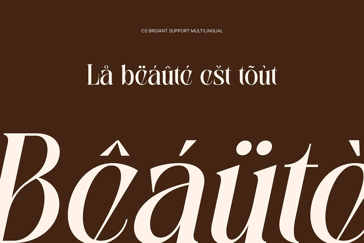 CS Brigant – Modern Serif Font, a Serif Font by Craft Supply Co. (Photo 7 of 8)