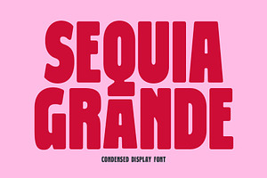 Sequia Grande - Condensed Font, a Sans Serif Font by Viswell