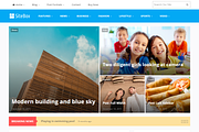 SiteBox WordPress Theme, a WordPress Template by Theme Junkie (Thumbnail 2 of 4)