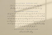 Manfollo Modern Script, a Script Font by alit design (Thumbnail 9 of 15)