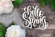 Spring lettering overlays collection, a Graphic by catary art (Thumbnail 3 of 4)