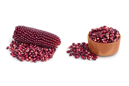 Purple corn or maize with seeds, a Food & Drink Photo by NataPhoto