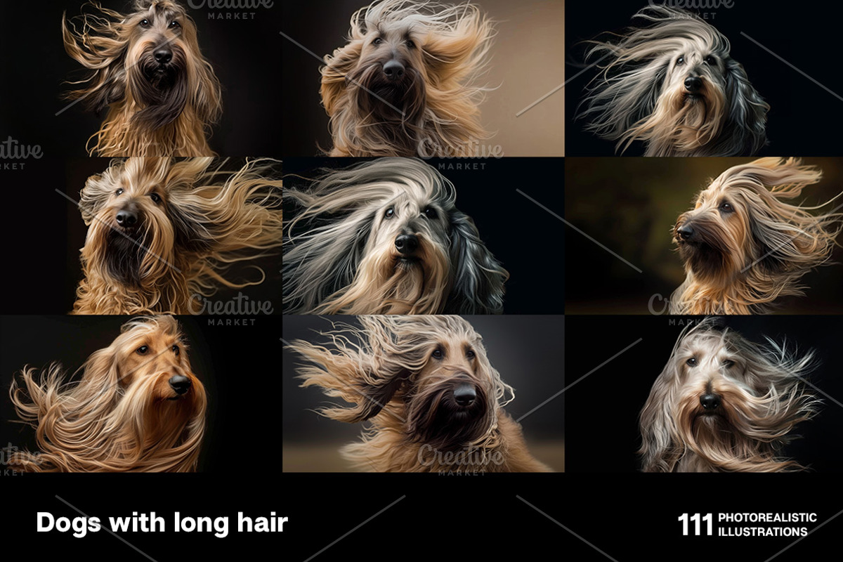 Dogs with long hair. 111 images, an Animal Photo by Handmadefont (Photo 5 of 15)