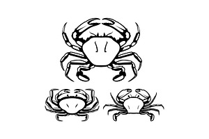 Crab Seafood, an Animal Illustration by Atlantis X Nurman Arbai
