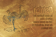 Dharma Gothic P, a Sans Serif Font by Dharma Type (Thumbnail 5 of 6)