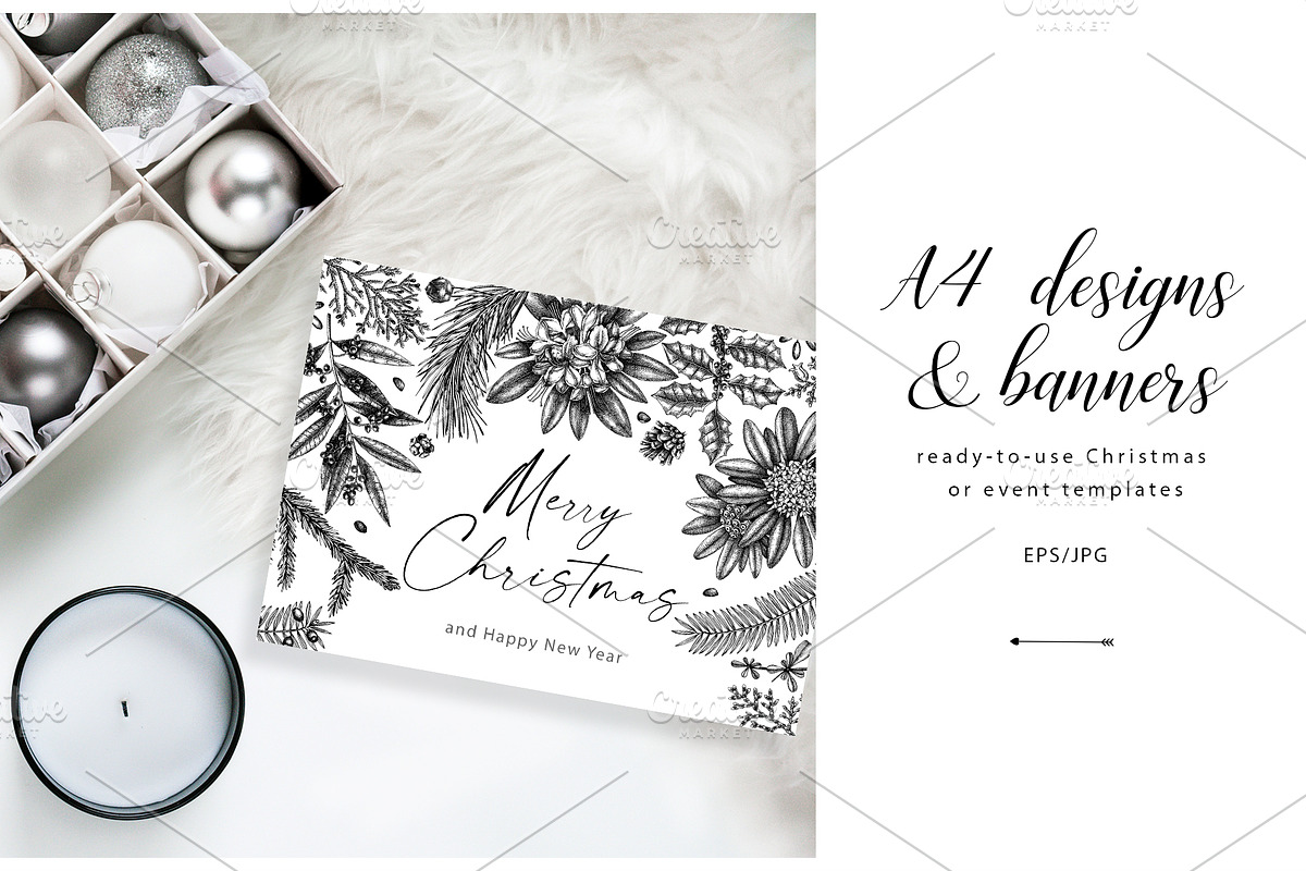 Winter Plants Set. Christmas Designs, a Seasonal Illustration by Yevheniia (Photo 6 of 13)