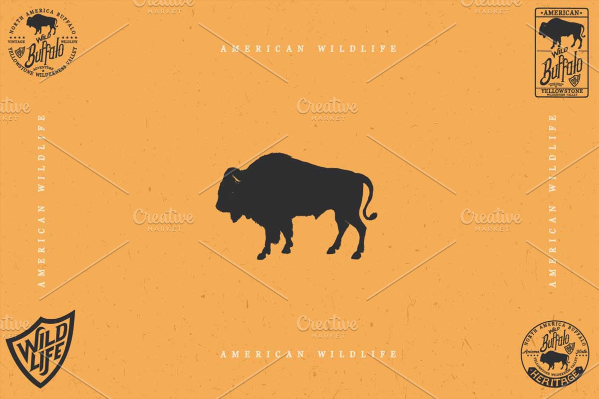 WILDLIFE, an Animal Illustration by Artistic & Unique (Photo 6 of 6)