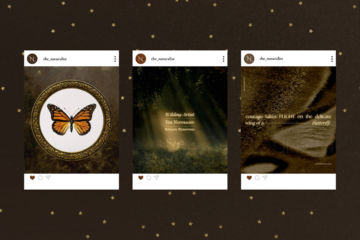 The Naturalist Social Media Bundle, a Social Media Template by The Flossy Finch (Photo 10 of 22)