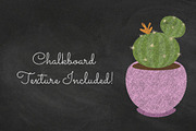 Chalkboard Cacti & Succulent Clipart, an Illustration by Digital Curio (Thumbnail 2 of 2)