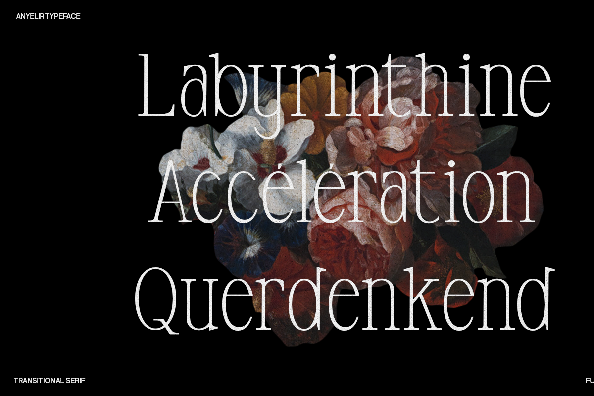 Anyelir Display - Condensed Serif, a Serif Font by Magnolitype (Photo 9 of 21)