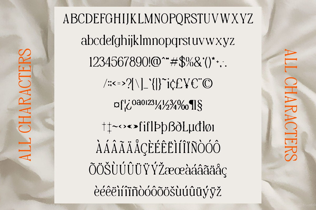 Risley Blur, a Serif Font by Craft Supply Co. (Photo 8 of 8)
