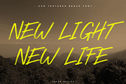 Street Paint SVG Textured Brush font, a Handwritten Font by Tanondesign (Thumbnail 3 of 9)