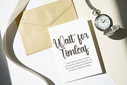 Starlight, a Handwritten Font by FreshTypeINK (Thumbnail 7 of 12)