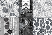 Succulents., an Illustration by maritime_m (Thumbnail 5 of 8)