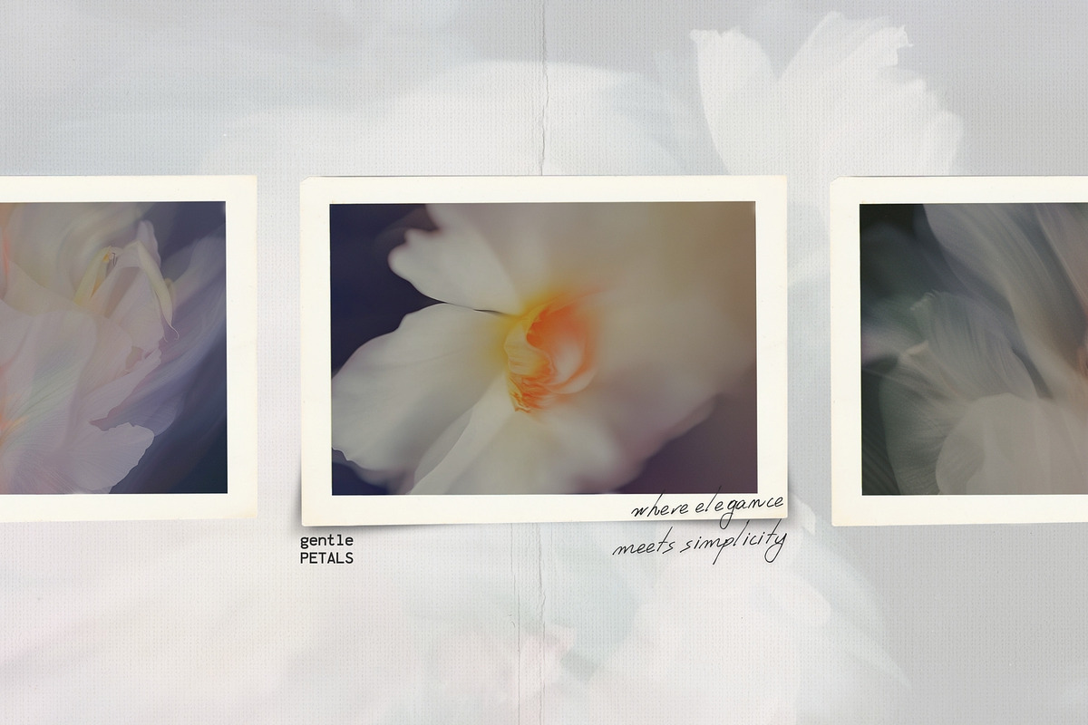 Blurred BLOSSOM backgrounds, a Background Graphic by lerinartstudio (Photo 3 of 13)