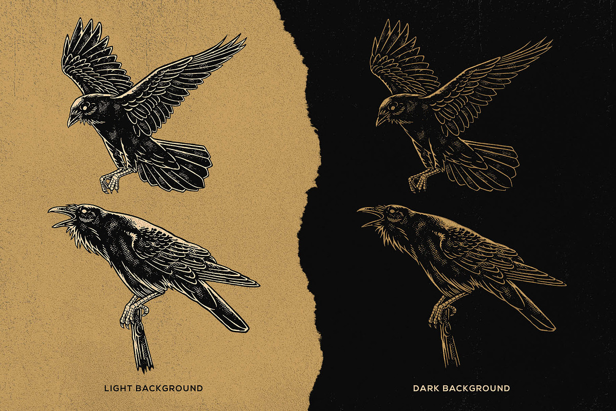 Crow Raven Illustrations pack, an Animal Illustration by Trape Graphic Studio (Photo 5 of 7)