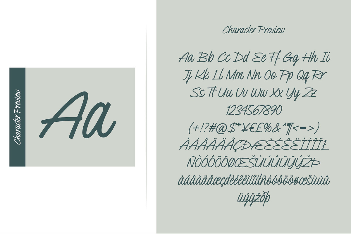 Pillucia | Script Font, a Script Font by Lemonthe (Photo 5 of 8)