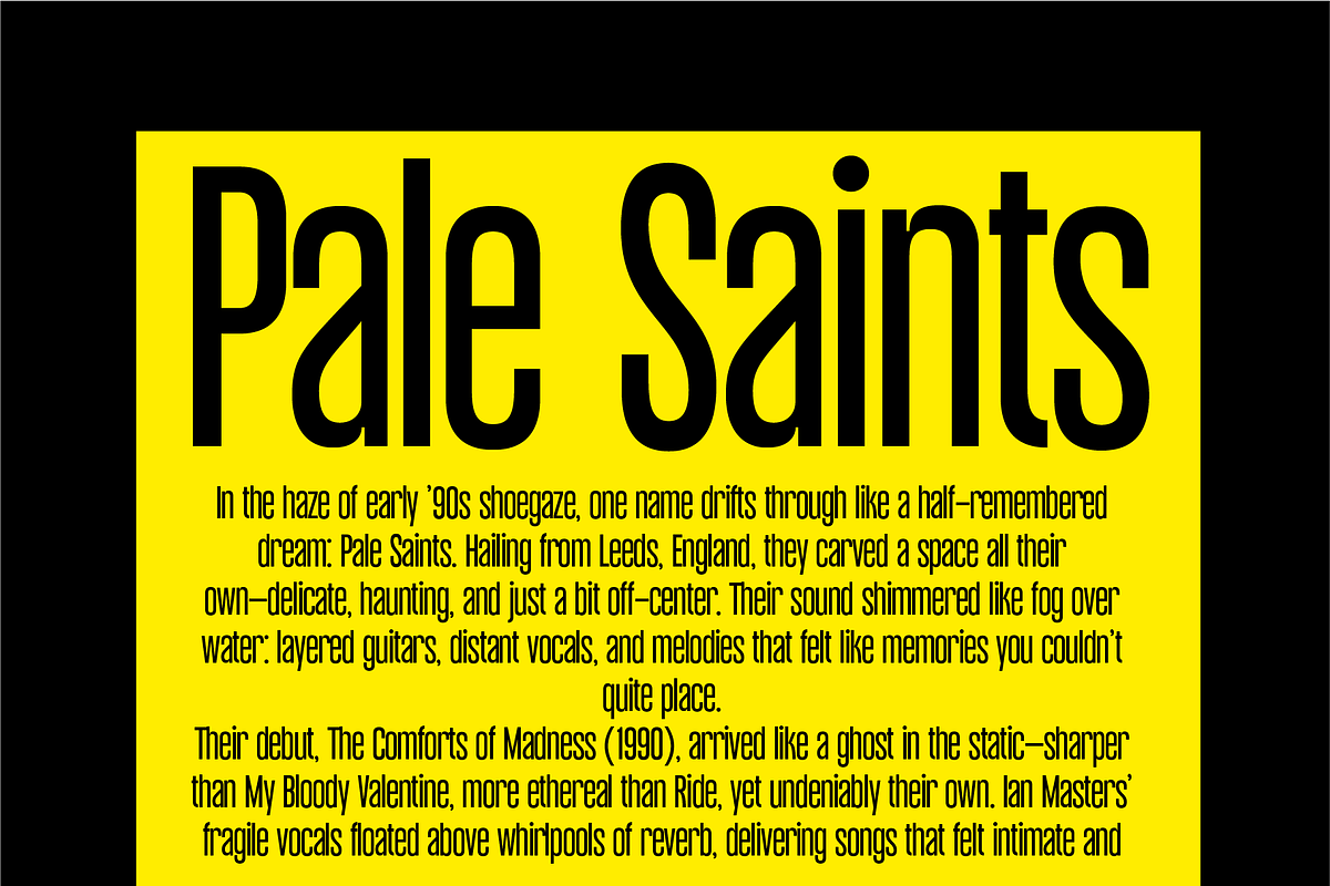 Thamarine Condensed Sans Font, a Sans Serif Font by PeanutButter Type (Photo 4 of 9)