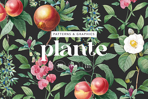 Elegant Botanical Pattern & Plants