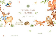 Woodland Watercolor Illustrations, an Animal Illustration by Liliia Polos Illustration (Thumbnail 8 of 16)