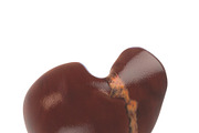 Human liver, a Characters & Person 3D Model by konstantin.ermolaev (Thumbnail 3 of 6)