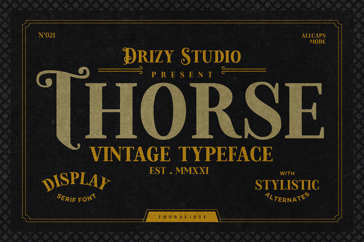 Thorse, a Font by Drizy (Photo 1 of 9)