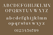 Rilvan - Modern Typface Serif, a Serif Font by AnnofaType (Thumbnail 6 of 8)