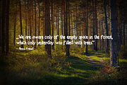Forest Tales Type, a Script Font by MeHi (Thumbnail 2 of 4)