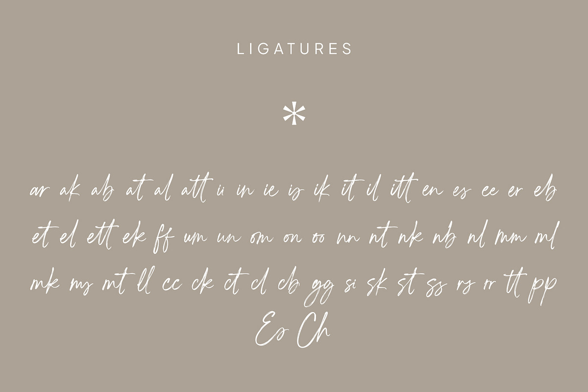 Bestlight, a Handwritten Font by din-studio.com (Photo 9 of 11)