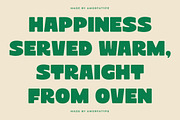Terra House Bold Sans Display Font, a Sans Serif Font by AmorfaType (Thumbnail 3 of 11)