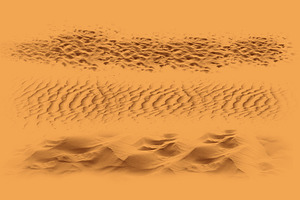 Desert Brush Set