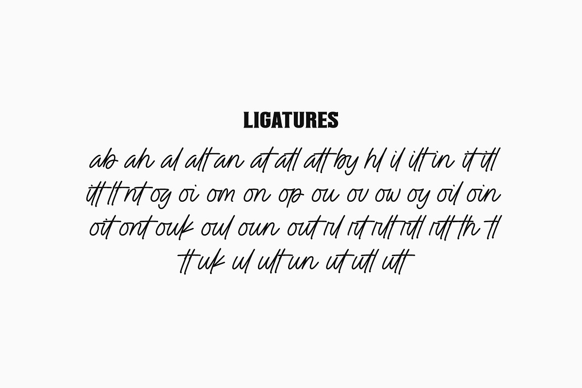 Budoin | Font Duo, a Script Font by Lemonthe (Photo 6 of 7)
